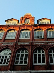 IMG_3923--.JPG