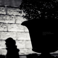 IMG_2743