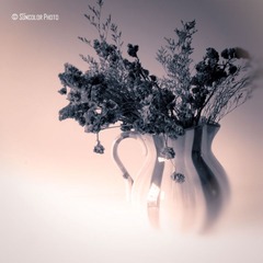 still-life