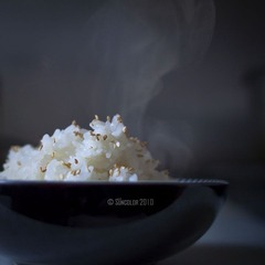 饭饭香