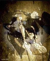 Abstract