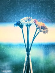 雨中花