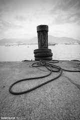 十六浦的船桩