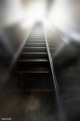 通往未知的路