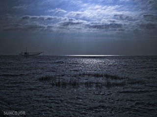 东海_B241770