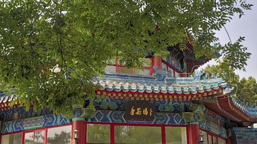 DSC04565_HDR