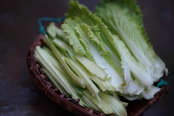 527081