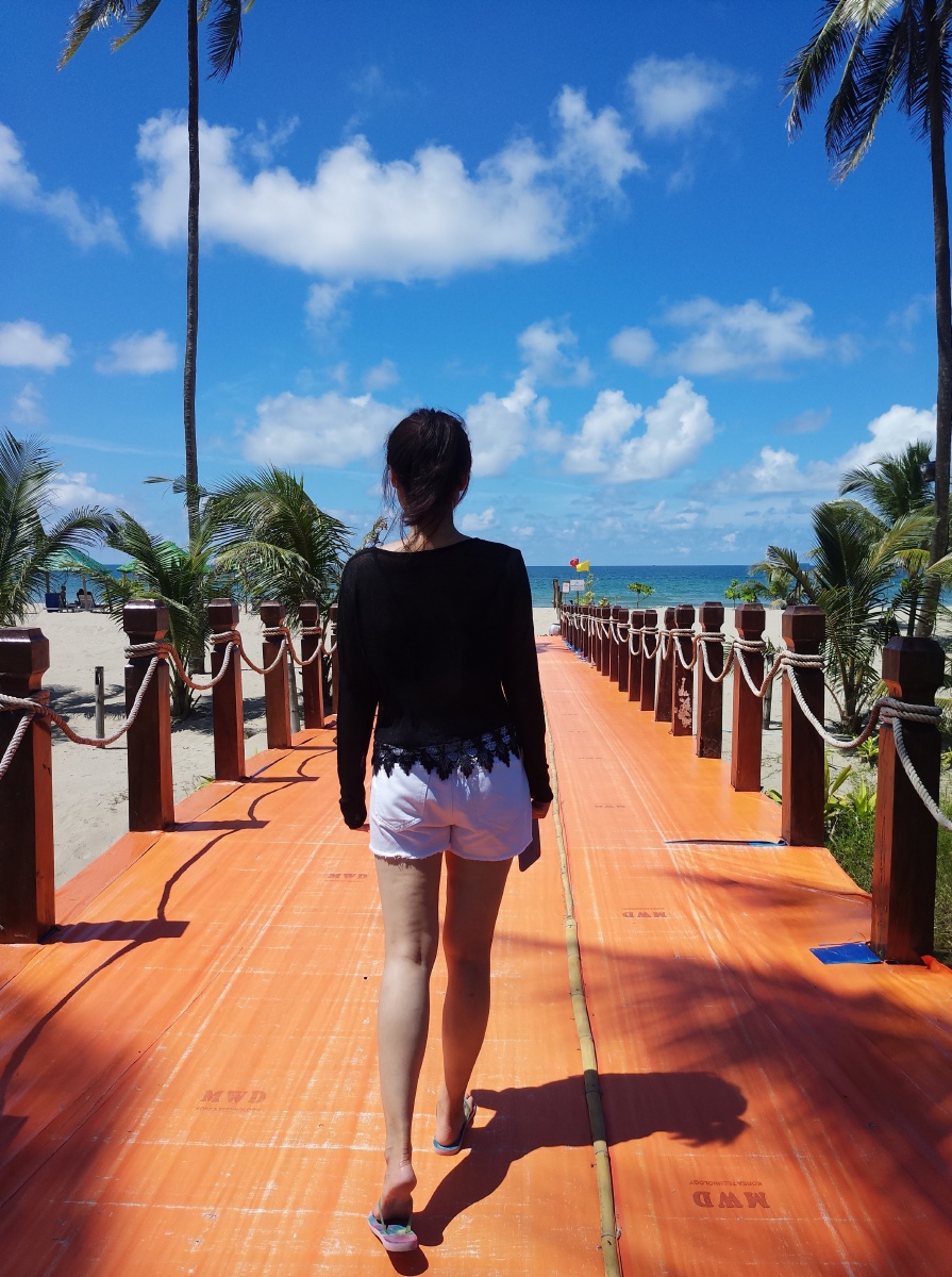 蓝翔技校挖掘机班