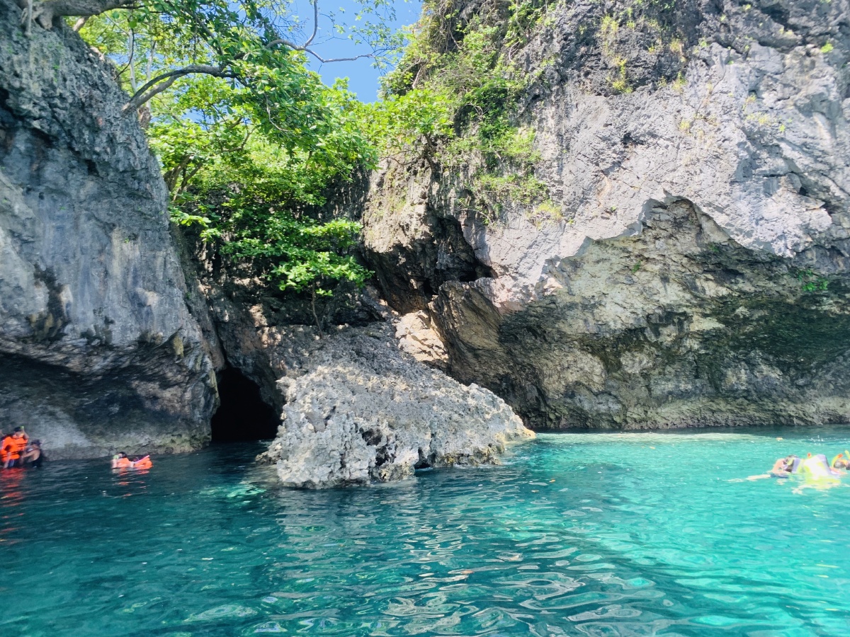 蓝翔技校挖掘机班