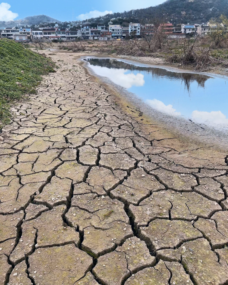 即使我满目疮痍,也要心怀绿色