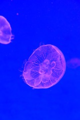 F134C096-374F-4722-A688-4540BF702283/L0/001