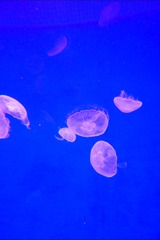 1F69E1E1-017E-424E-ADF7-4E4639B5C768/L0/001