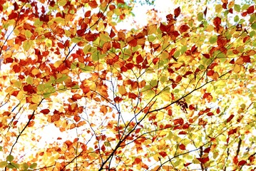 D746427C-5683-4AE5-8BDB-E86C20E86BE9/L0/001