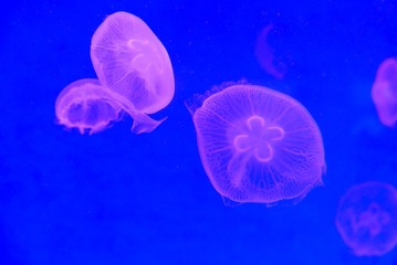 55775D16-EF1D-452F-89F4-3A8F80F2EA37/L0/001
