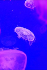 14C136C2-3377-4103-9100-D10C53577374/L0/001