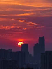 1251799