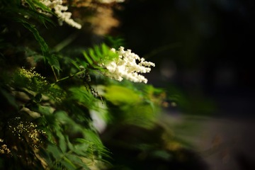 L1000808