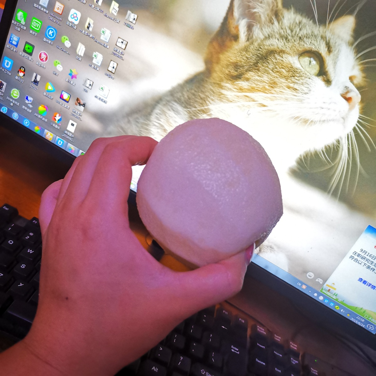 如何制作简易喇叭,废弃物如何变废纸