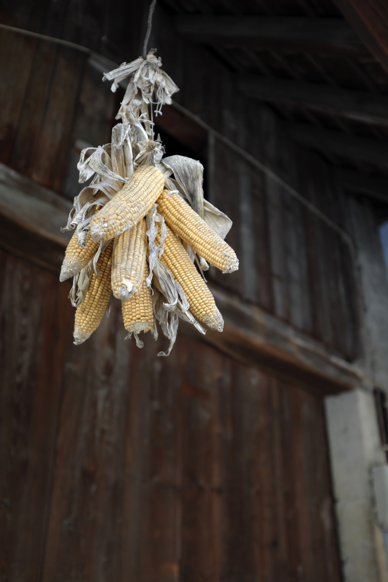 存留在陕北民间的水陆法会牛王会