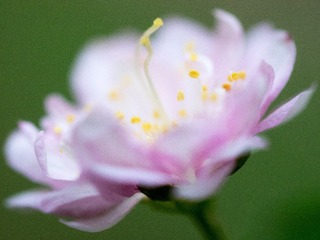 P5012985