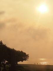 P7156085