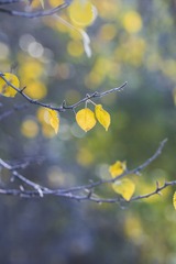 _DSC1443