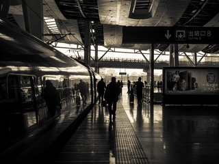 _1260187
