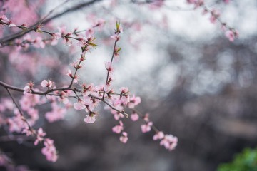 _DSC3000