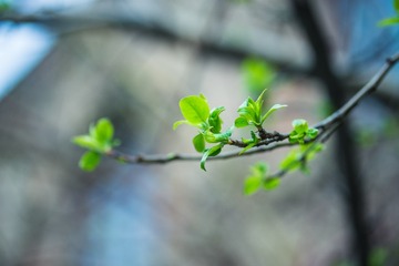 _DSC3009