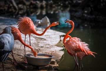 _DSC3255