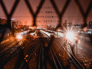 1442105