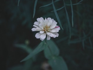 538253