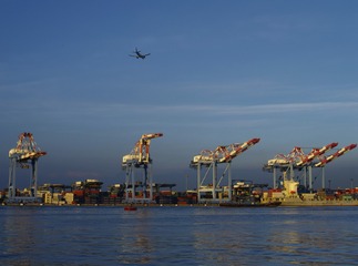 IMGP3994__