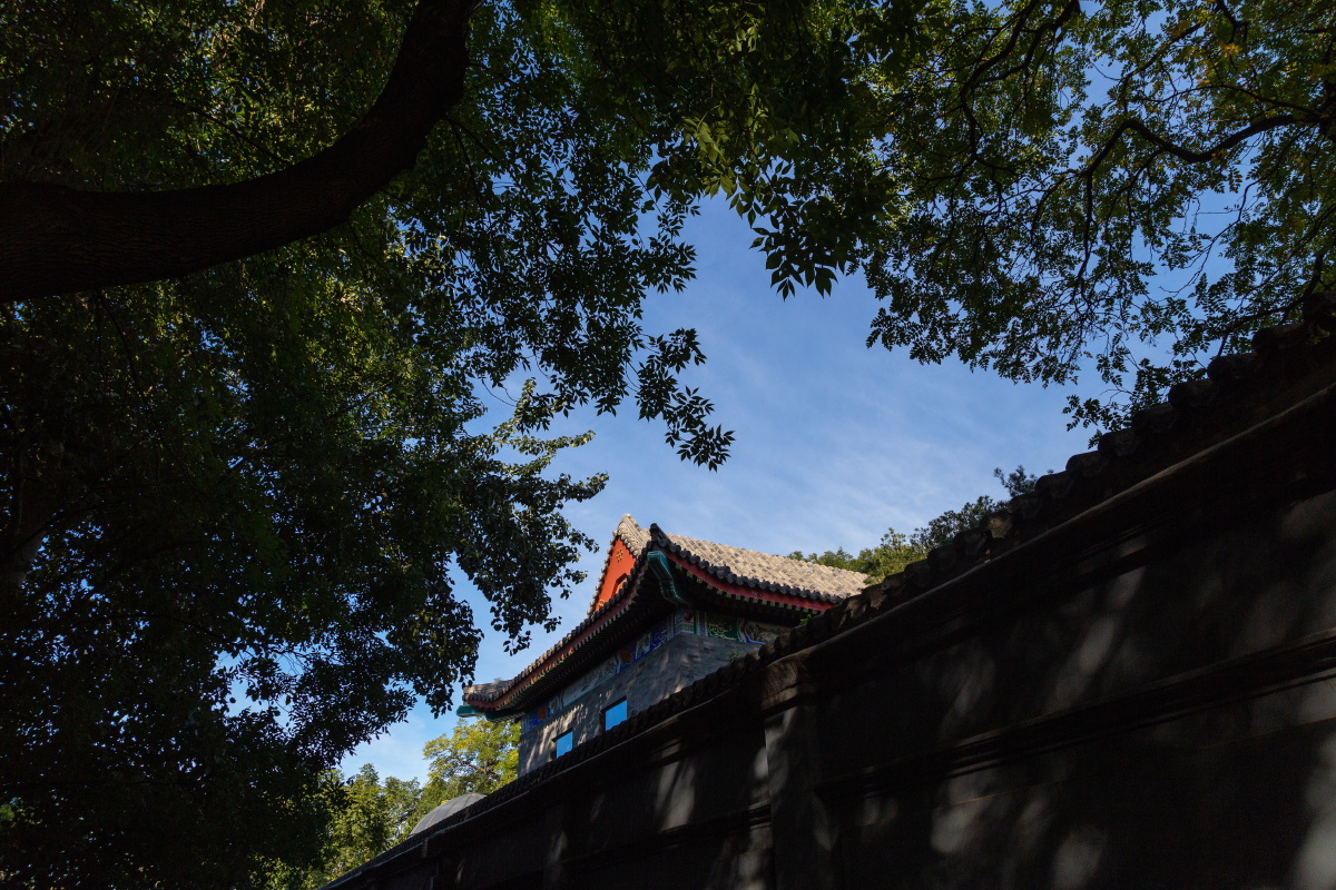 圆恩寺后街
