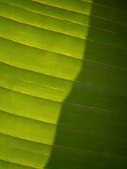 C82097B8-9434-44F9-8A9A-20C02BF9D453/L0/001