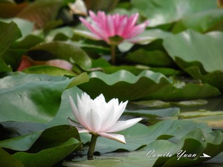 20110812 (2)