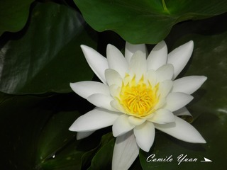 20110812