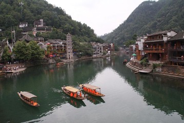 凤凰 (67)