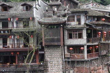 凤凰 (73)