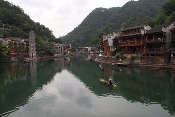 凤凰 (81)