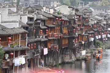 凤凰 (85)
