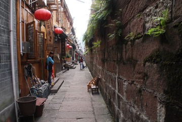 凤凰 (121)