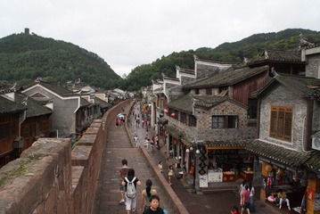 凤凰 (478)