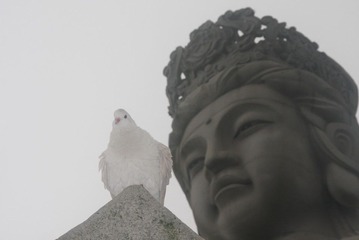 观音山 218