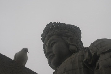 观音山 222