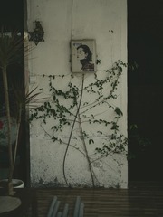 F52EFA44-1934-4E7F-A629-02E8405EAFDD/L0/001