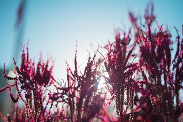 DE3EE51F-C2F2-4A92-AB07-004C5FCFA9C2/L0/001