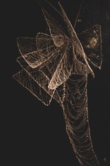 79C307A4-CC74-42B0-A3DC-2F814CAB9F8A/L0/001