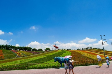 LRM_EXPORT_20160812_194125