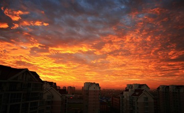 xIMG_0042